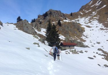 Tocht Te voet Pinzolo - Sentiero di Serodoli e Nambrone - Photo