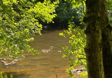 Randonnée Marche Houffalize - Hérou  - Photo