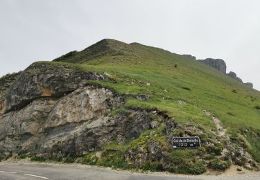 Excursión Senderismo Omblèze - Le Plateau d'Ambel du Col de la Bataille - Photo