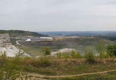 Tocht Te voet Oupeye - 7.Hauts de Froidmont: Groene Rechthoek - Photo