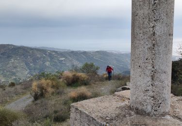 Randonnée Marche Sayalonga - Sayalonga  Pico de la Rabita - Photo