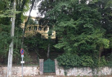 Randonnée A pied Spolète - Via di Francesco - Tappa 15 Spoleto-Ceselli - Photo