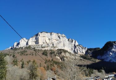Tour Pfad Entremont-le-Vieux - trail granier 2h45 - Photo
