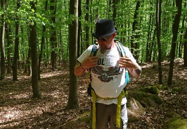 Tour Wandern Lützelstein - weiterswiller copain - Photo