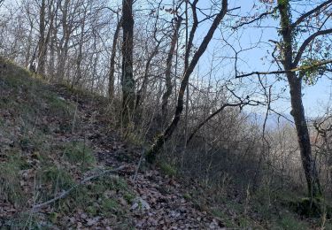 Trail Walking Lavelanet - Guimbal vers rue des Lilas - Photo