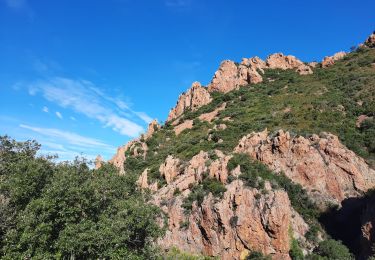 Tour Wandern Saint-Raphaël - Estérel  - Photo