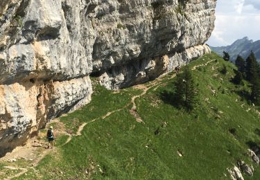 Tour Wandern Saint-Pierre-d'Entremont - rochers de Fouda Blanc et sommet du Pinet  - Photo