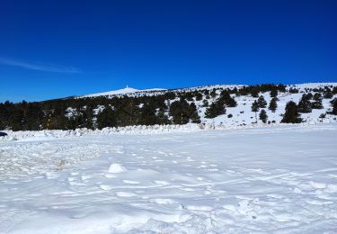 Percorso Racchette da neve Bédoin - Raquettes Chalet Reynard  - Photo