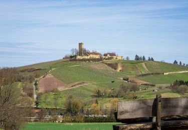 Randonnée A pied Sulzfeld - Wandern zwischen Wein, Wald und Streuobstwiesen - Photo