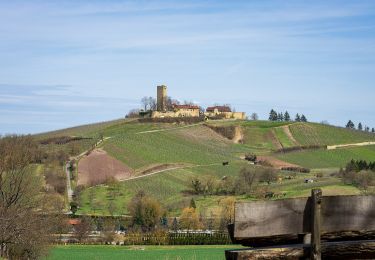 Trail On foot Sulzfeld - Wandern zwischen Wein, Wald und Streuobstwiesen - Photo