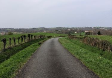 Tocht Stappen Hasparren - Boucle Pilota Plaza Briscous - Photo