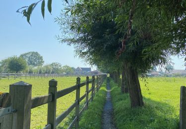 Trail Walking Asse - S-GR Groene Gordel: Mollem - Ternat - Photo