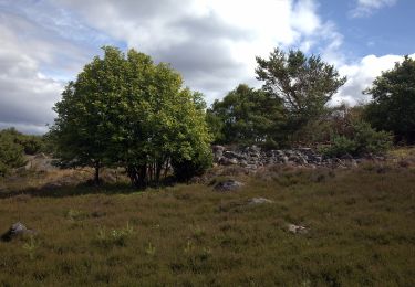 Tocht Te voet Onbekend - Gång-löpstig 5,2 km - Photo