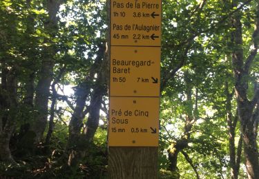 Trail Walking Rochechinard - Pré 5 sous, retour par le chateau - Photo