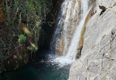 Tour Mountainbike Riboux - LE LATAY - Photo