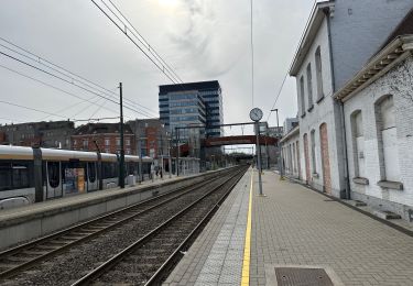 Tocht Stappen Sint-Lambrechts-Woluwe - Woluwe St Lambert dumont Place de la gare Berchem 17,5 km - Photo