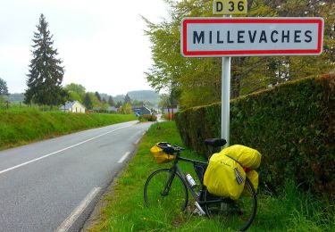 Percorso A piedi Millevaches - Sentier du puy des Pouges - Photo