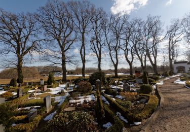 Tocht Te voet Ulsnis - Erholungsort Ulsnis: Rundweg Hestoft-Nord - Photo