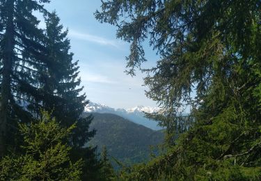 Tour Wandern Allevard - boucle le nid d'aigle, la maison forestière  - Photo