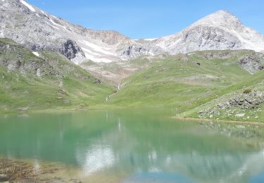 Tocht Stappen Cervières - 190625corded - Photo