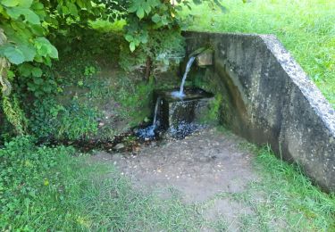 Randonnée Marche Echternach - echternacht  tour du lac villa romaine  - Photo