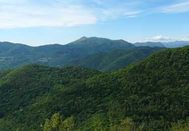 Trail On foot Canzo - Sentiero Naturalistico dello Spaccasassi - Photo