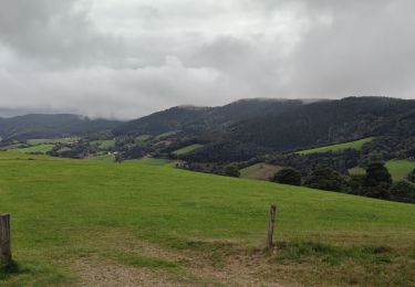 Randonnée V.T.T. Fréland - Fréland Col des Bagenelles - Photo