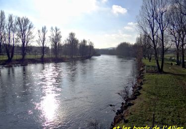 Trail Walking Pont-du-Château - Pont_Chateau_Marinier - Photo