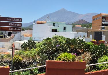 Tour Wandern El Tanque - Boucle volcan Chinyero à Tenerife  - Photo