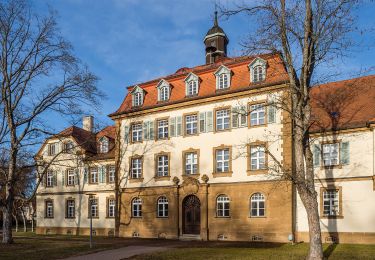 Tour Zu Fuß Ebensfeld - Veitsberg Höhenweg - Photo