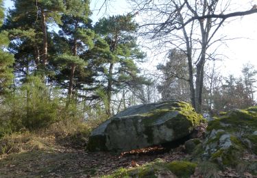 Tocht Te voet Saint-Nectaire - freydefont - Photo