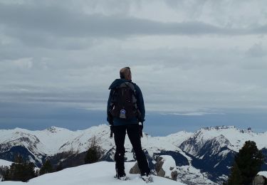 Trail Snowshoes La Plagne-Tarentaise - la plagne dolline - Photo