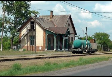 Tocht Te voet Jakabszállás - P+ - Photo