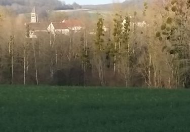 Tocht Stappen Thiescourt - grand tour de thiescourt - Photo