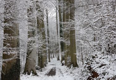 Randonnée Marche Beauvechain - petit tour  - Photo