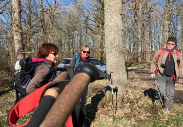 Percorso Marcia Somme-Leuze - 20,5 km M Sentiers des arts Havelange 20km - Photo