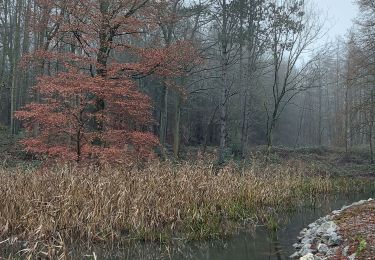 Trail Walking Fleurus - marche  wistitis - Photo