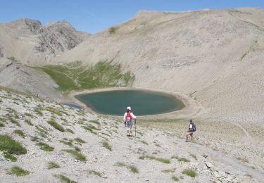 Trail Walking Allos - Sommet des Garrets - Photo