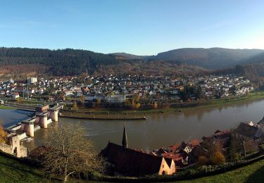 Tocht Te voet Hirschhorn - Rundwanderweg Parkplatz Schloss Hirschhorn 7: Zur Brunnenstube - Photo