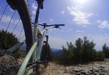Tocht Mountainbike Saint-Rémy-de-Provence - activity_8877606926 - Photo