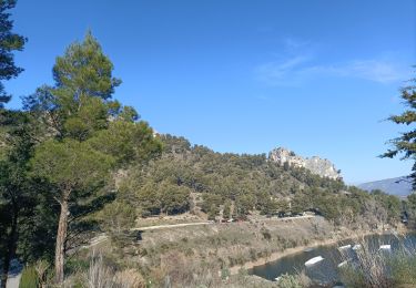 Tocht Stappen Orgon - Orgon le lac.  plateau - Photo