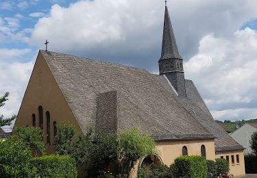 Tour Zu Fuß Brey - Traumpfade 