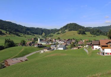 Tocht Te voet Mosnang - Silberbüel - Hulftegg - Photo