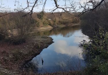 Randonnée Marche Saint-Pierre-d'Oléron - les Placelles - Photo