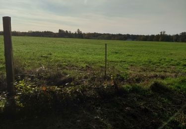 Randonnée V.T.T. Fougerolles-Saint-Valbert - Sortie vélo avec Vincent - Photo