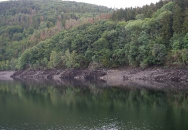 Tocht Te voet Heimbach - Wanderweg T2 ( Heimbach) - Photo