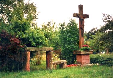 Randonnée A pied Erlenbach am Main - Blauer Laubbaum Rundwanderweg Mechenhard - Photo