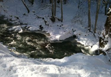 Randonnée A pied  - Poiana Mărului – Valea Șucului – Vârful Căleanu – Șaua Plaiului - Photo