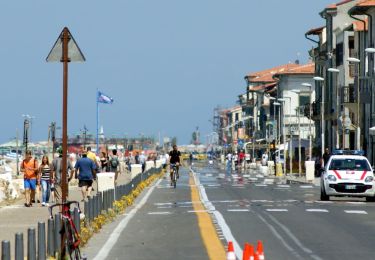 Tour Zu Fuß Pisa - Sentiero della Colmata - Photo