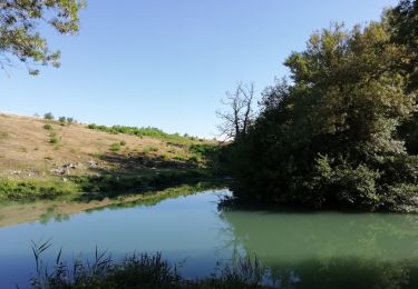 Trail Walking Montélimar - Gournier-Châteauneuf 10km - Photo